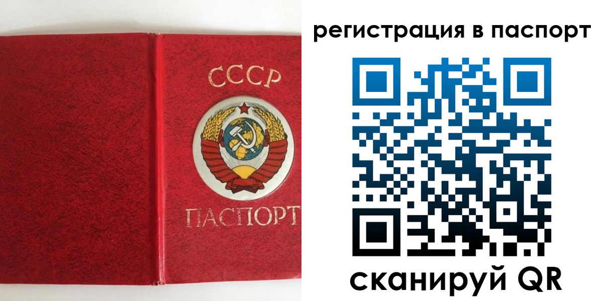 регистрация в Камчатской области