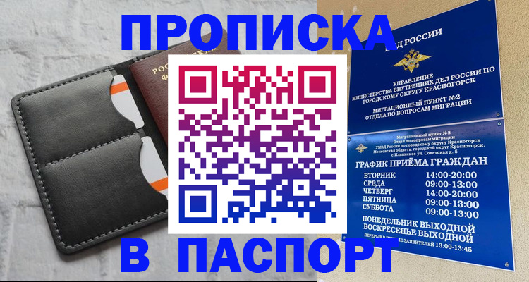 миграционный учет в Камчатской области